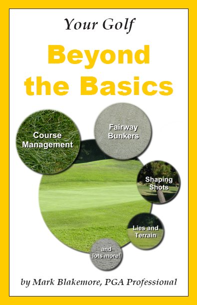 Beyond the Basics cover image