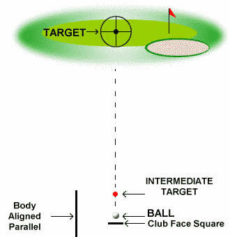 The Golf Target – The Golf Target